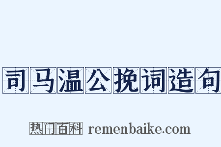 司马温公挽词造句是什么意思的图片